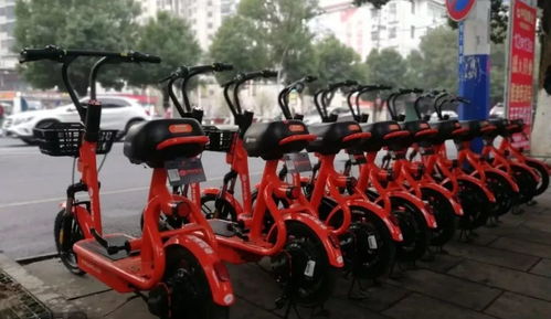 喜大普奔！共享電動(dòng)單車(chē)正式登陸都昌，綠色出行再添新選擇